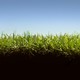 Grass and soil