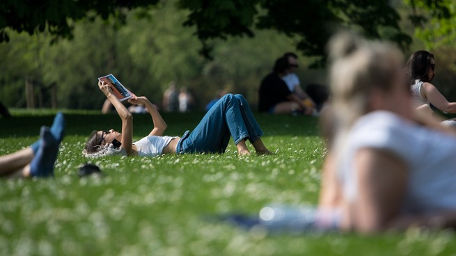 A person reading on the grass