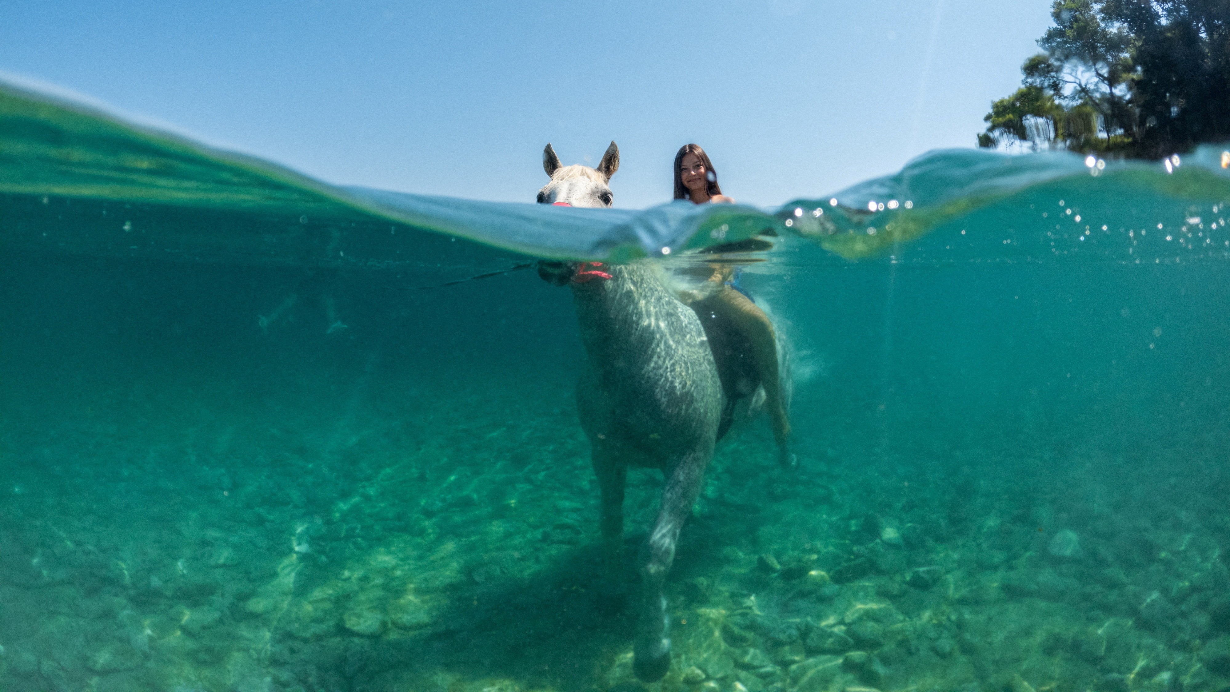 Photos of the Week: Fuego Volcano, Underwater Explosion, Pig Diver