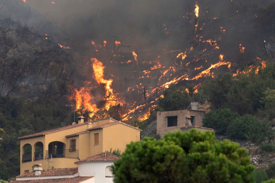 A wildfire burns on a hillside behind houses.