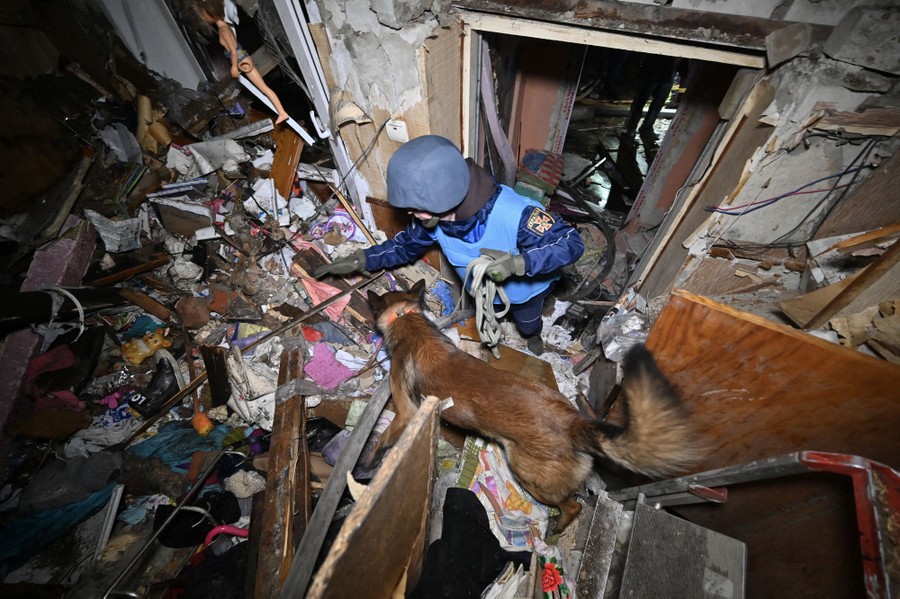A rescuer with a dog inspects the rubble of a building following a Russian drone attack.
