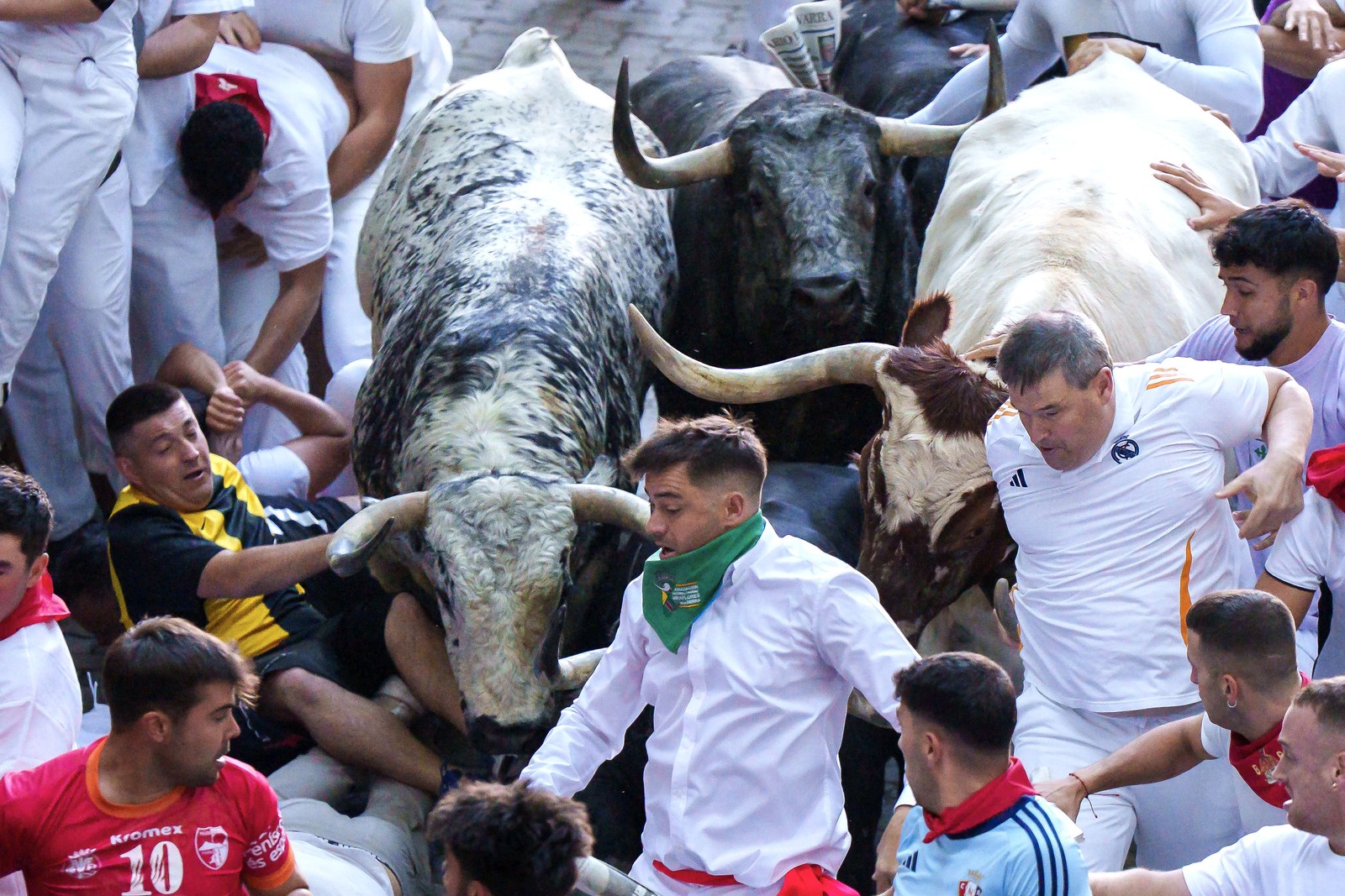 Several bulls run through a crowd of people during the 