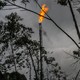 Gas flame burns at the top of an oil well in Colombia.