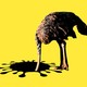 An ostrich sticking its head into a coronavirus-shaped hole