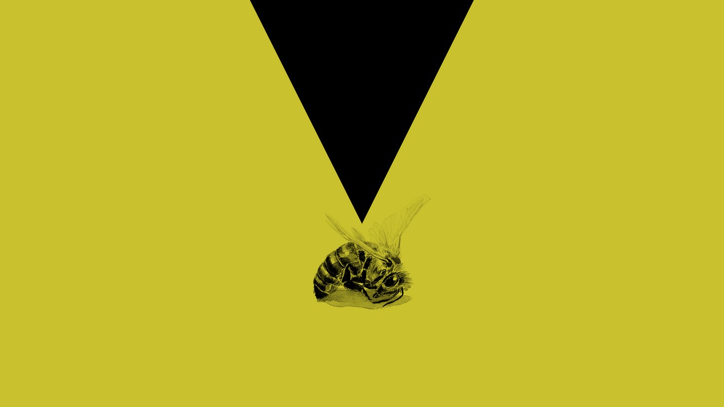 an illustration of a black triangle on a yellow background pointing at a bee