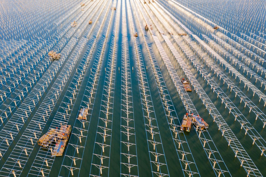 People work from boats, amid vast rows of solar panel supports.
