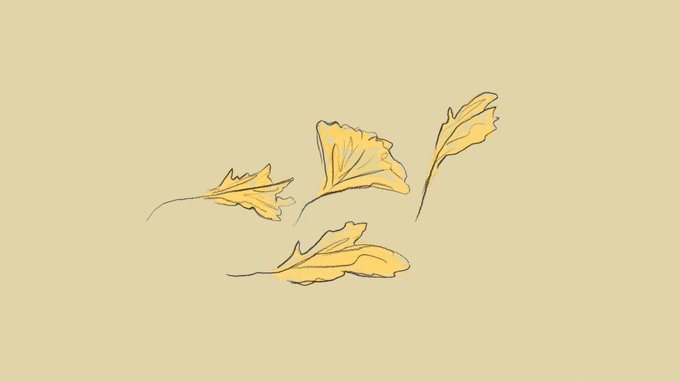 Several yellow fall leaves on tan background