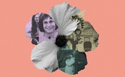 A collage of flower petals, photos of Deborah Roffman, and a sex education cartoon