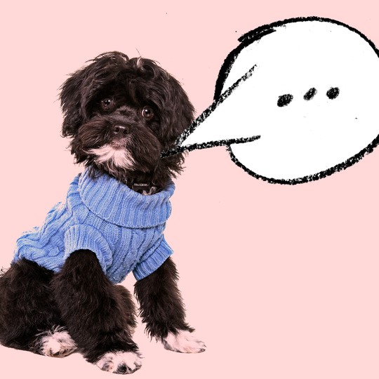What Does It Mean To Call Someone A Dog