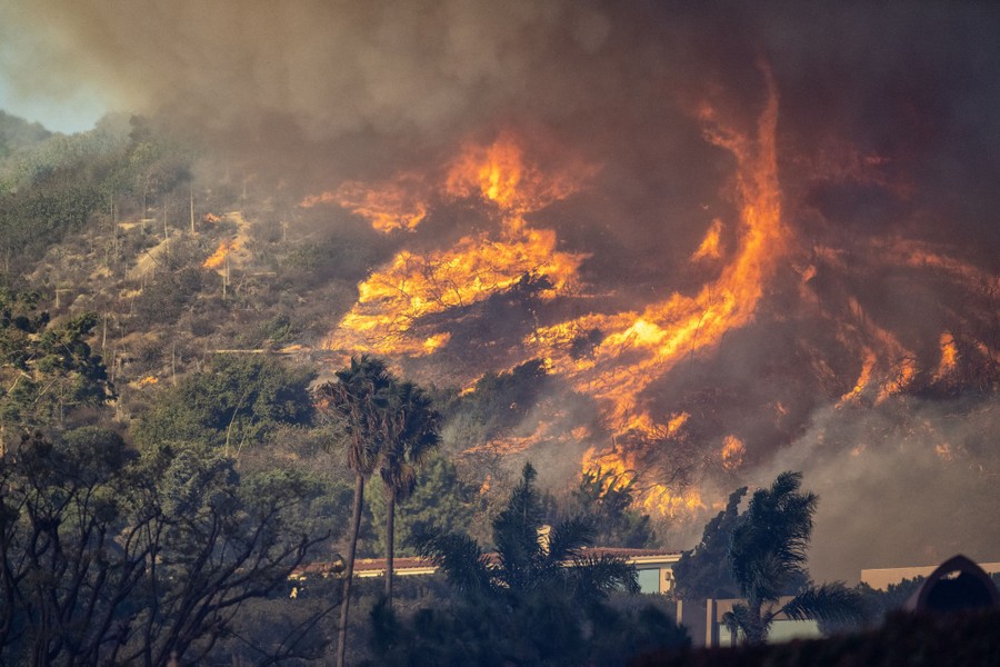 Wind-driven flames consume bushes and trees on a hillside.
