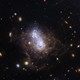 Many small galaxies are scattered on a black background. The image is dominated by an irregular galaxy with a bright central region of white and blue stars appear as two distinct lobes, surrounded by brown dusty filaments.