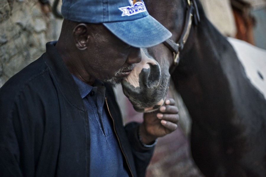 Stable manager Edward E. Ward, 65, cuddles his horse Maverick on Sunday, September 29, 2013.
