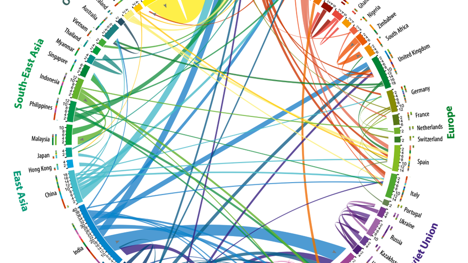 international migration chart