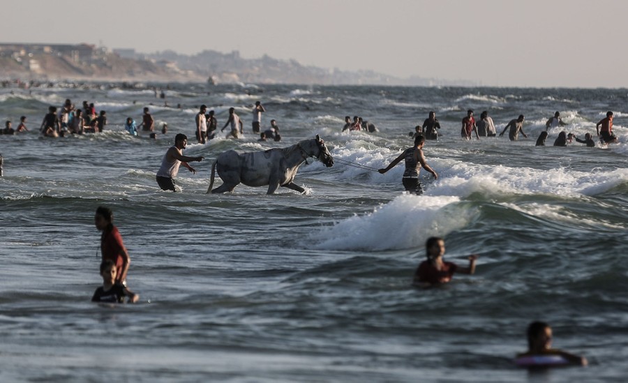 People and one horse play among waves in the shallow surf.