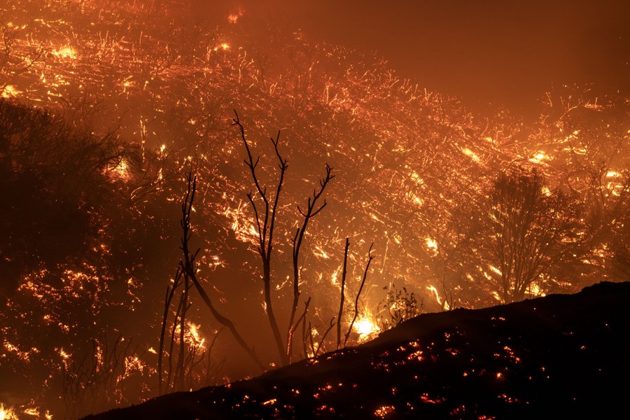 A recently burned hillside is covered in glowing embers.