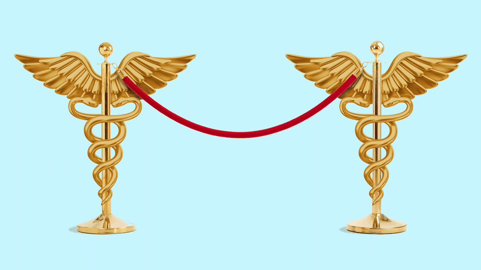 Two caducei with a velvet rope strung between them
