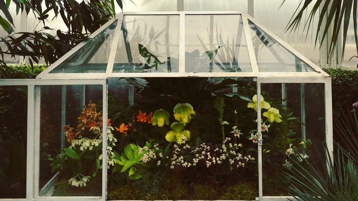 How A Glass Terrarium Changed The World The Atlantic