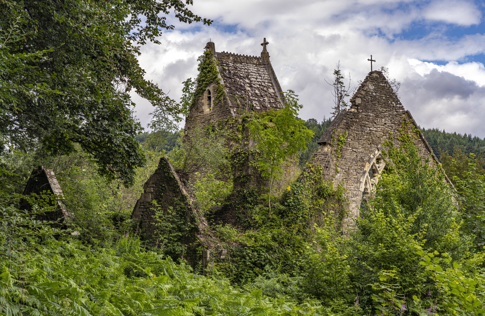 Plants grow within the ruins of a church in Wales.