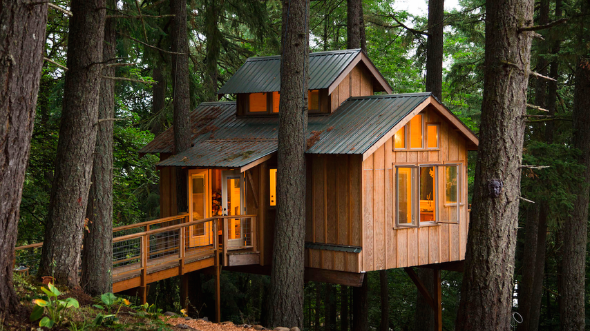 Would You Live In A Treehouse The Atlantic