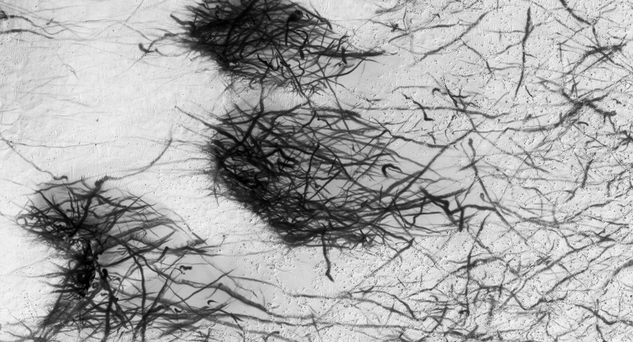 Swirling streaks appear in clumps, seen from orbit.