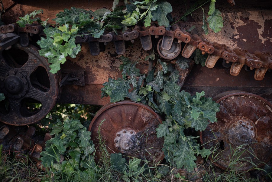Plants grow through the rusty tracks of a burned military vehicle.