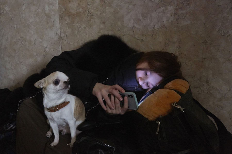A small dog sits beside a person lying down and looking at their phone.