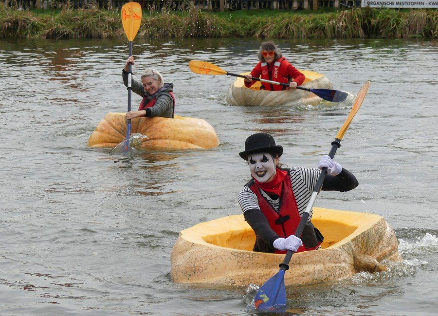 Three people use kayak paddles to row themselves in a race, sitting in huge, floating, hollowed-out pumpkins.