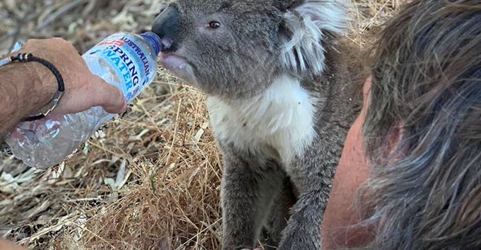 Photos: A January Heat Wave in Australia - The Atlantic
