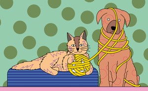 A cat and dog play with a ball of yarn in the shape of a smiley face.
