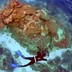 A scuba diver or snorkeler investigates a reef