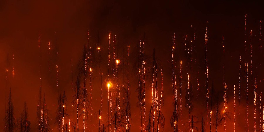Charred and glowing tree trunks stand on a hillside during a forest fire, seen at night.