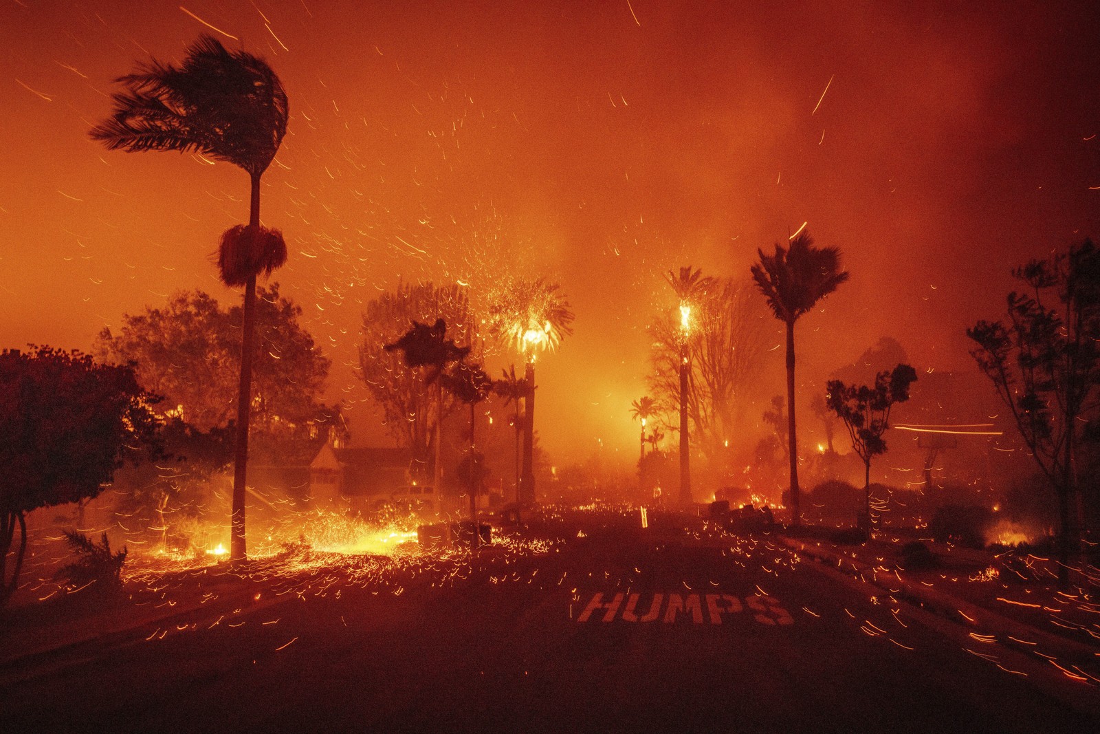 Sparks, flames, and smoke fill the sky as wind whips burning palm trees along a city street.