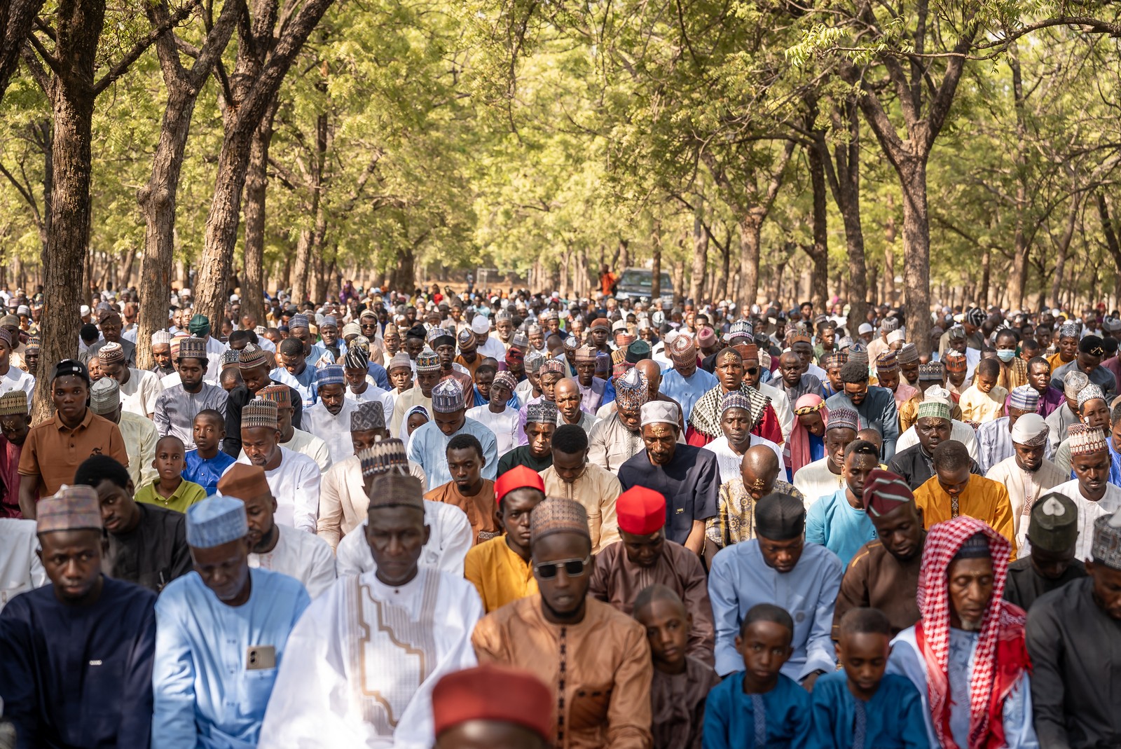 A large group of people gather to pray beneath tall trees.