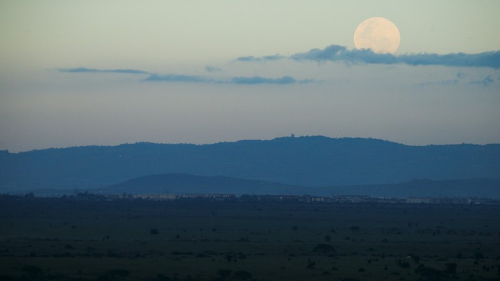 Nairobi National Park in Nairobi, Kenya