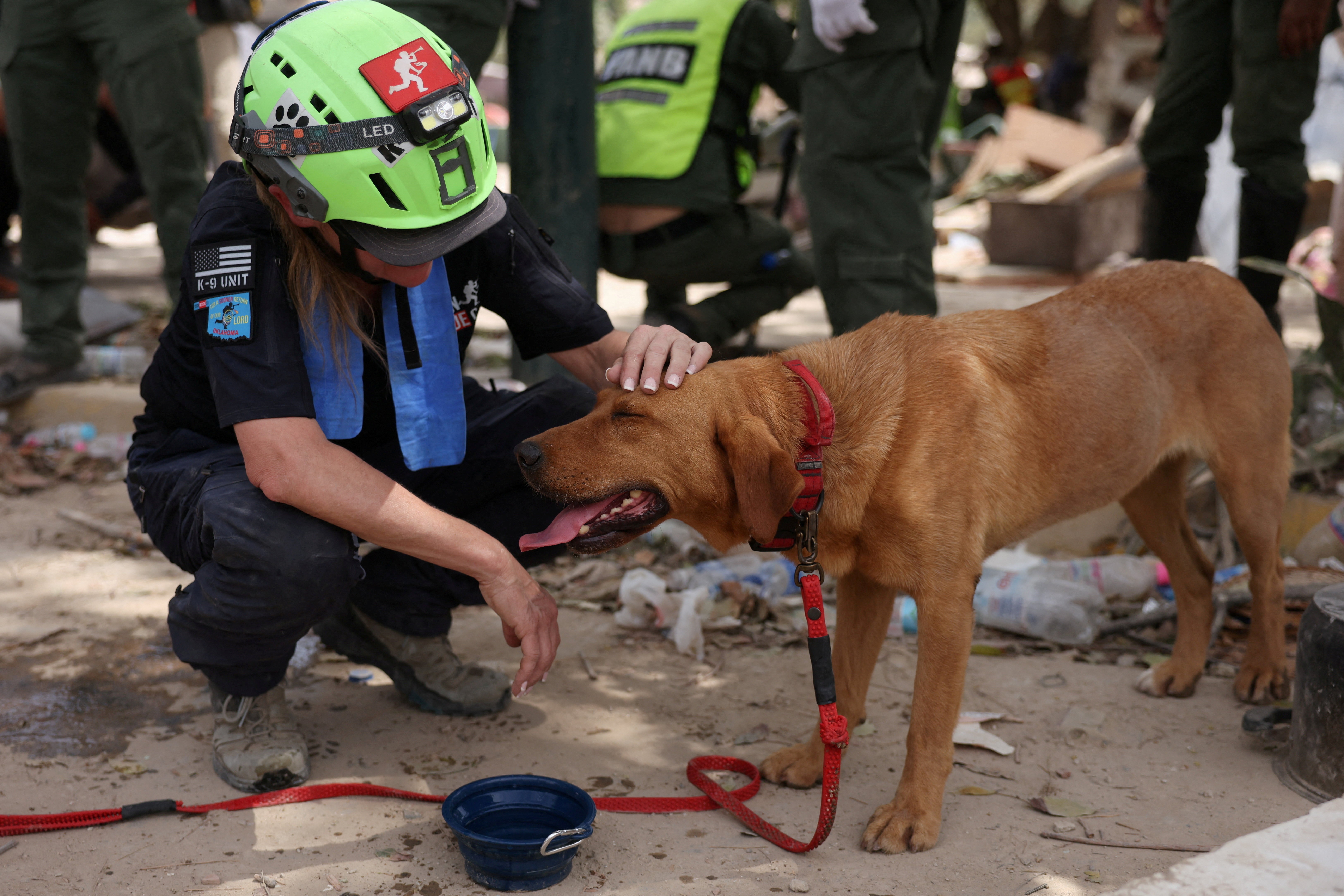 A rescue worker pets a rescue dog.