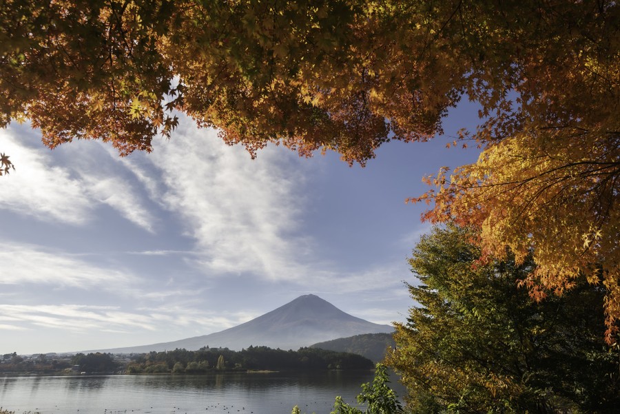 Mount Fuji, seen in morning sunlight on an autumn day, partly framed by tree branches