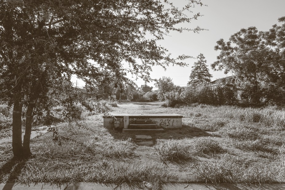black-and-white photo of abandoned lot with a sidewalk to concrete steps to nothing, with grass and trees around the edge