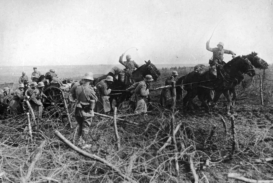 pix World War 1 Photos Animals In The War The Atlantic world war i in photos animals at war