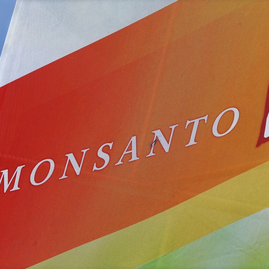 Bayer to Buy Monsanto, Creating a Massive Seeds and Pesticides Company -  Scientific American