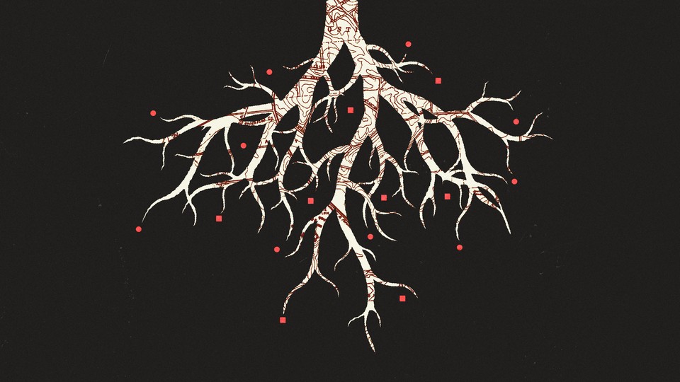 The root of a tree, with a map drawn all over it and red points