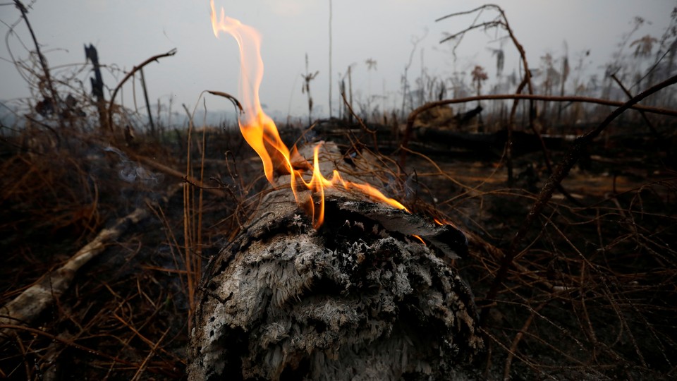 A tract of Amazon jungle is seen after a fire in Boca do Acre, Amazonas state, Brazil, on August 24, 2019.