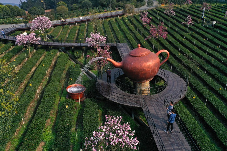 Photos of the Week Giant Teapot, Arizona Sunset, Egyptian Goose The Atlantic