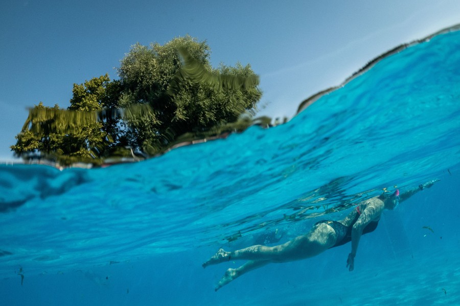 An underwater view of somebody swimming in a swimming pool.