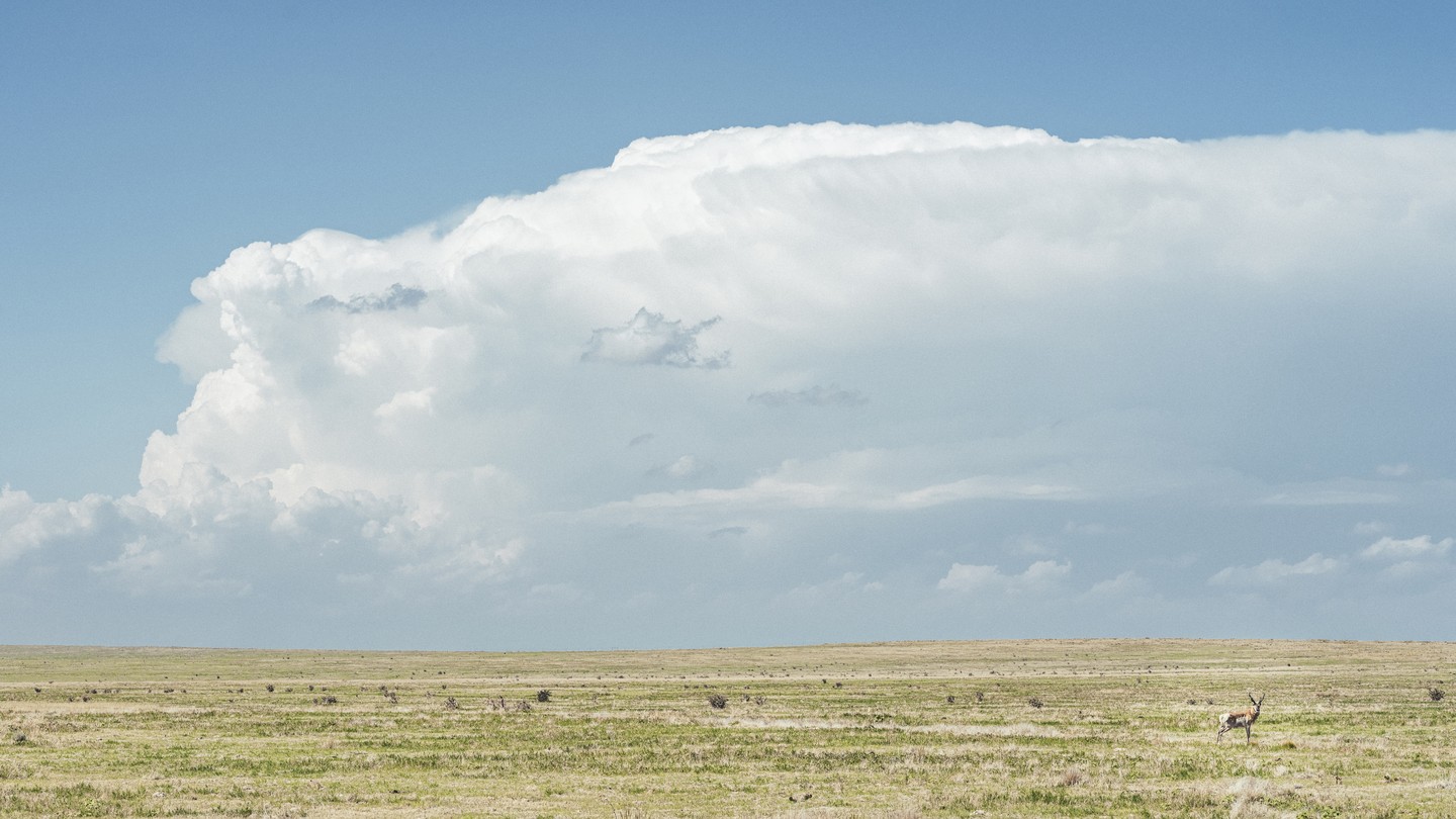 The Grasslands Are Growing Again In The Great Plains