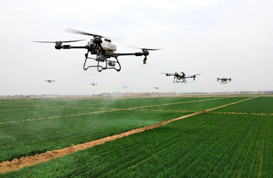 Seven small drones hover above a farm field, spraying the crops below.
