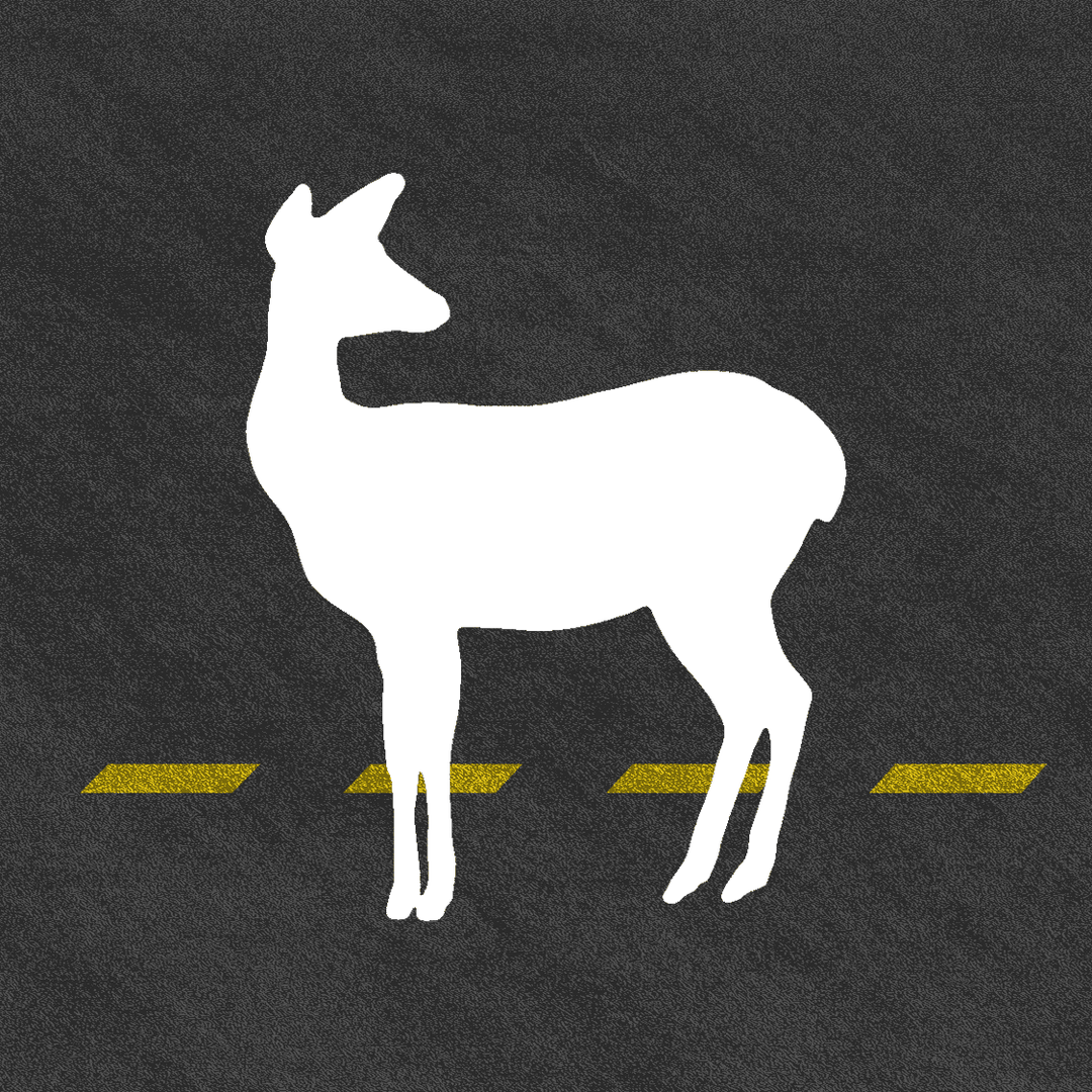 There Really Was Less Roadkill This Spring The Atlantic