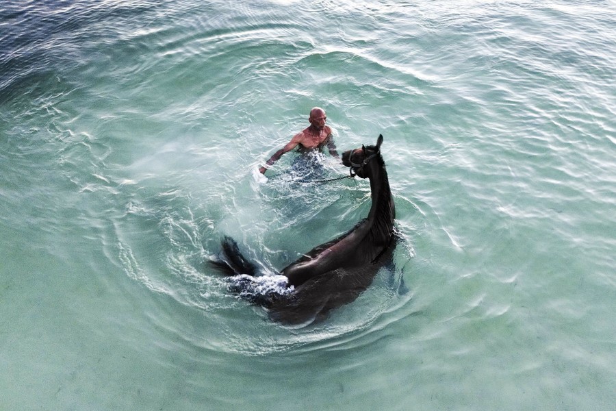 A man works with a horse in chest-deep ocean water.