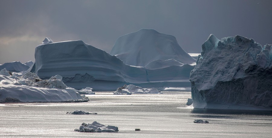 Large icebergs float in a bay.