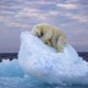 A polar bear naps on top of a floating iceberg.