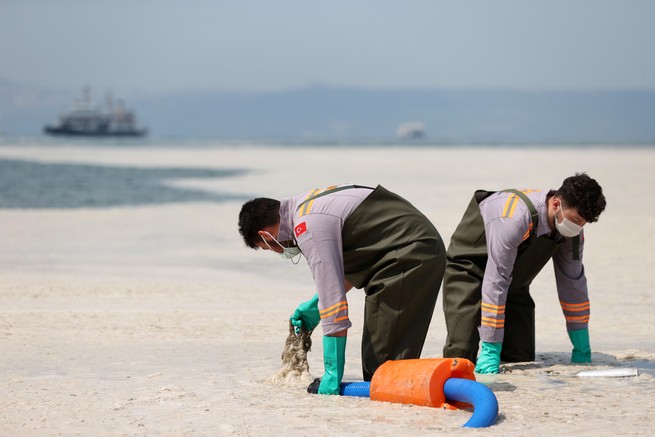 Workers vacuuming up sea snot